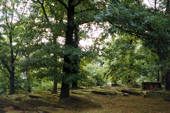Grabsteine des alten juedischen Friedhofs in Bettenhausen 