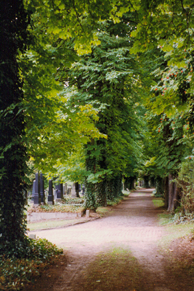 Romantischer Weg unter hohen Bäumen auf dem jüdischen Friedhof 