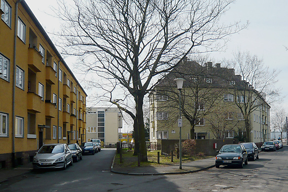 Blick in die Melsunger Straße, 2010 