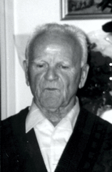 Otto Bauer, Vorsitzender 