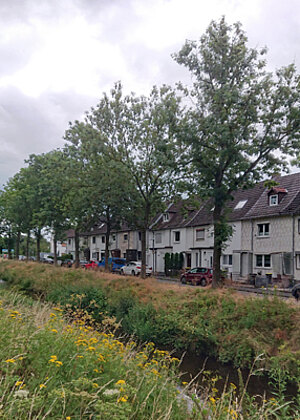 Der Biegenweg in der Lossesiedlung