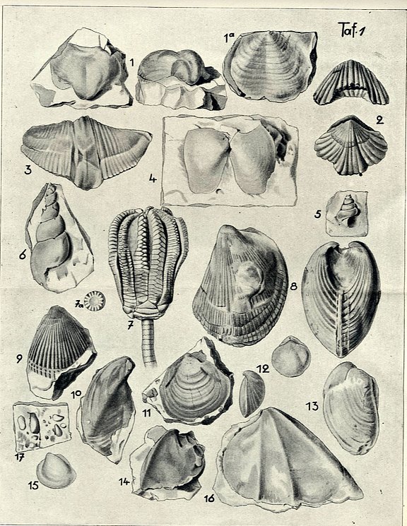 Tafel aus dem Buch von Hans Penndorf 