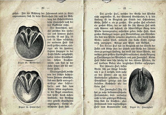 Fortbildungsbuch - Walthers Hufschmied - von 1880 