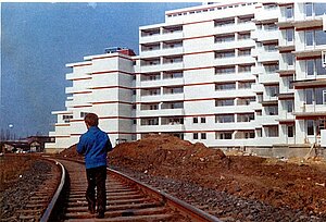 Soehrebahnschienen vor der Heinrich-Steul-Siedlung