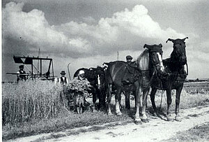 Landwirtschaftliche Nutzung in Forstfeld durch Waldauer Bauern