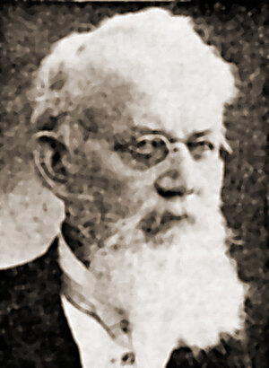 Dr. Wilhelm Wittich, Leiter des Realgymnasiums I