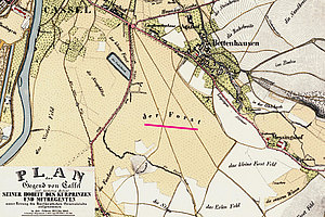 Der Kasseler Forst auf einer historischen Karte von 1835