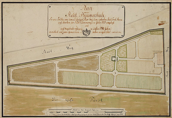 Die städtische Baumschule auf dem Forst, 1789 