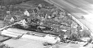 Gärtnerei Omonsky in Bettenhausen 1970