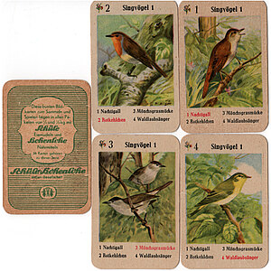 Quartett Schüle Hohenlohe