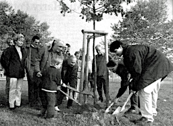 Pflanzen einer Beuys Eiche 