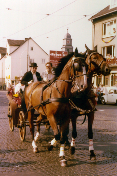 Kutsche mit zwei Pferden 