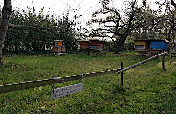 Garten mit Bienenstöcken Hinweis hier ist das Reich der Bienenkönigin Betreten verboten 