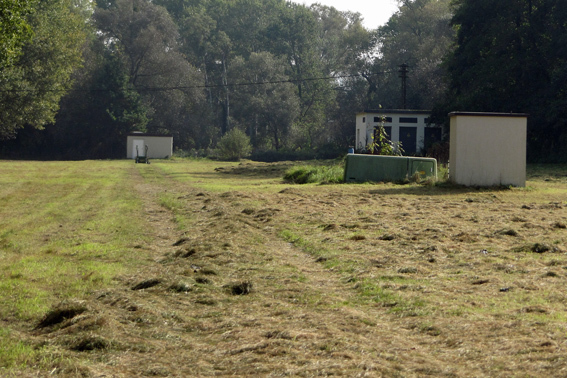 Die Wiesen am Fischhausweg auf der Flaeche der ehemaligen Fischteiche, 2014 