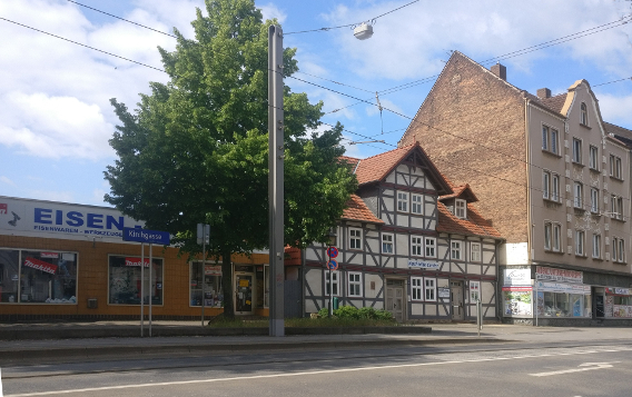 Junger Baum vor Leipziger Str. 114, in Corona-Zeiten 2020 