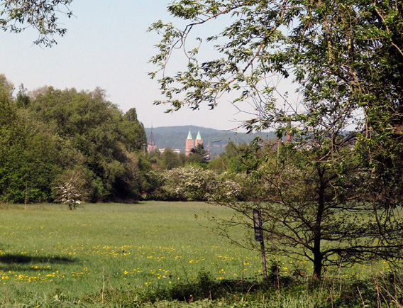 Blick über Losseaue bis zur Martinskirche im Hintergrund 