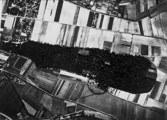 Luftbild Eichwald 1928 