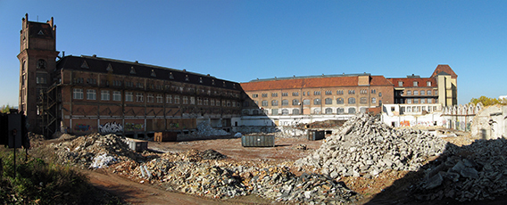 Backsteintruemmer vor Salzmannruine, 2012 