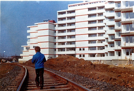 Soehrebahnschienen vor der Heinrich-Steul-Siedlung 