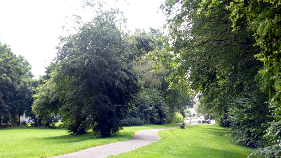 Alte Söhrebahntrasse hinter dem Haus Forstbachweg, heute Wanderweg 