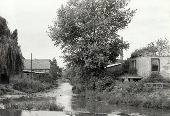 Losse mit Ruine der Zuendholzfabrik Miram 1952 